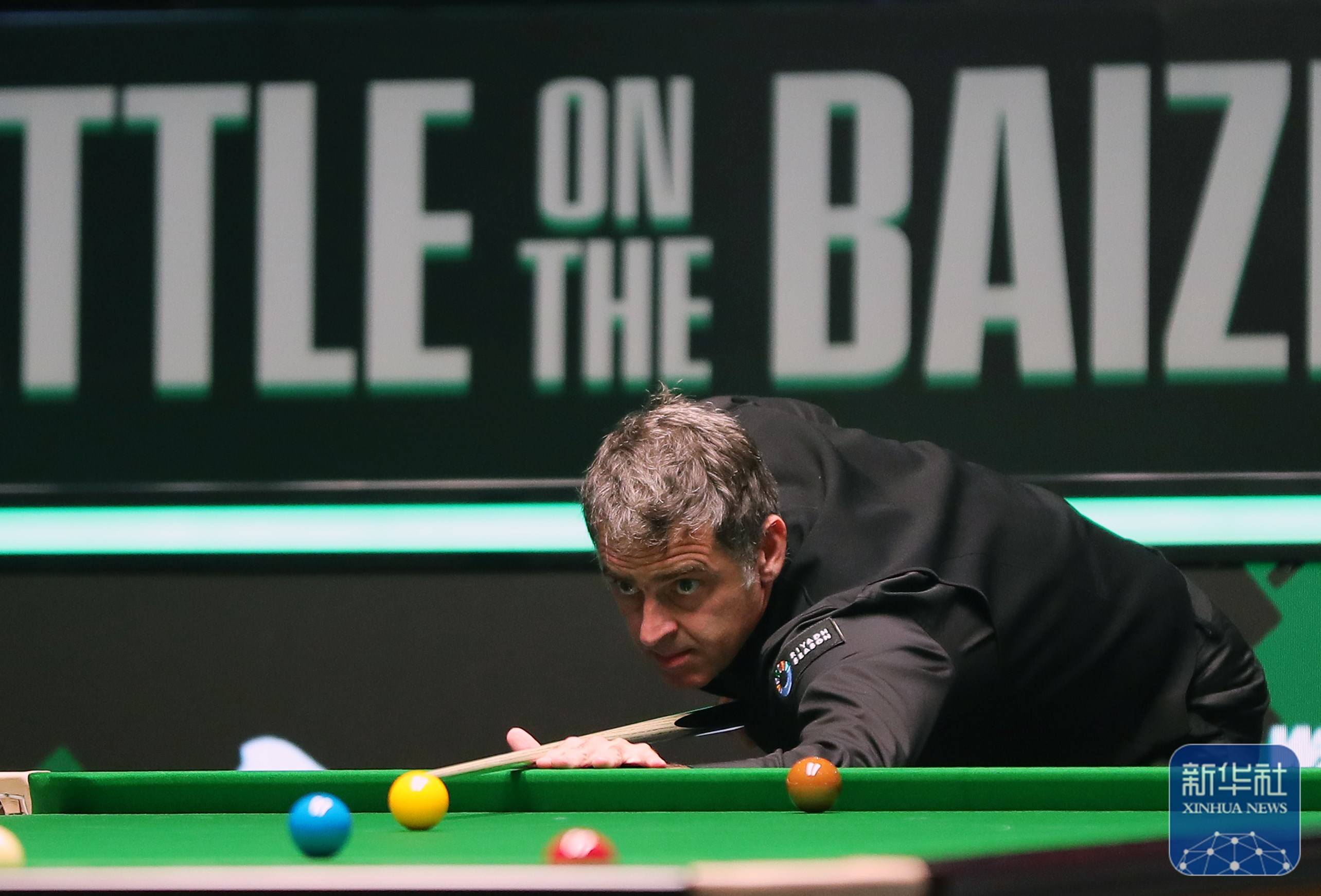 蜂的比赛中 蜂的比赛中