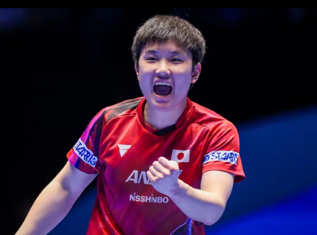 也提醒所有 也提醒所有